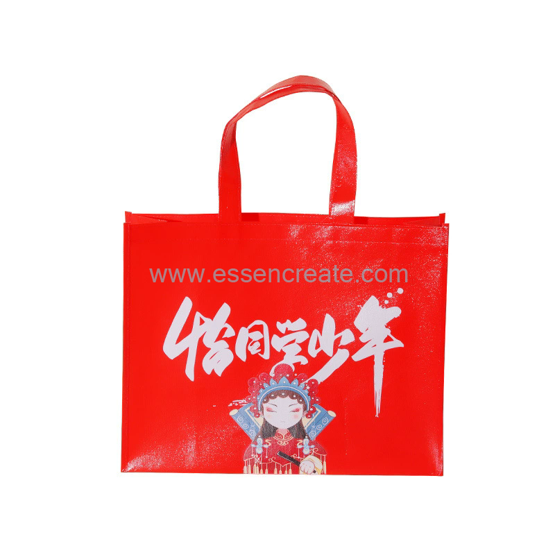 Reusable Shopping Bag Reusable Shopping Bag